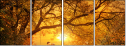 59871115