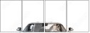 59883159