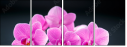 59897994