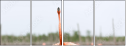 59910019