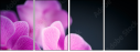 59923716