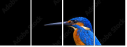 59945759