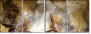 60051496
