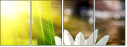 60275600