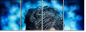 60327574
