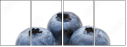 60359707