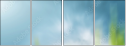 60450374