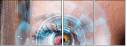 60478677