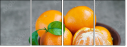 60530401