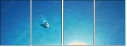 60682880
