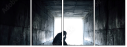 60945003