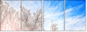 61239166