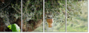 61604708
