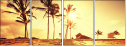 61639356