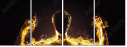 61751589