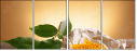 62168381