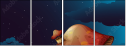 62324482