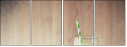 62377665