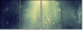 62549974
