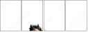 62618176