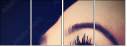 62674579