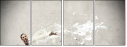 62749377