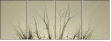 62822000