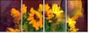 62921715