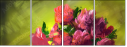 62921717