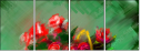 62921723