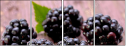 62957499