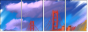 63048516