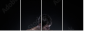 63445597