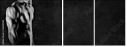 63490164