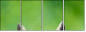 63805438