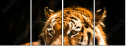 63858890