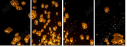 64122199