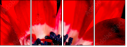 64202605