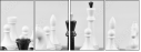 64265081