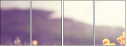64321096