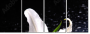 64347544