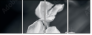 64479255