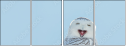 64588759