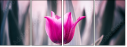 64764668