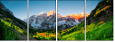 65129233