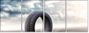 65476081