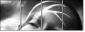 65561483