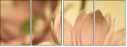 65771321