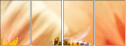 65782170