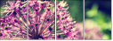 65874954